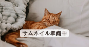 サムネイル準備中だにゃ